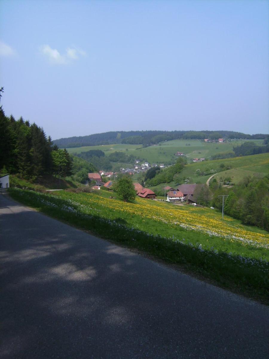 Schuttertal 皇冠宾馆酒店 外观 照片